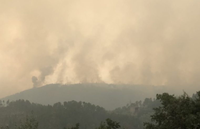 Chuva ajuda bombeiros a dominar incêndio de Seia