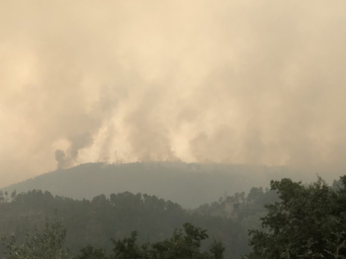 Chuva ajuda bombeiros a dominar incêndio de Seia