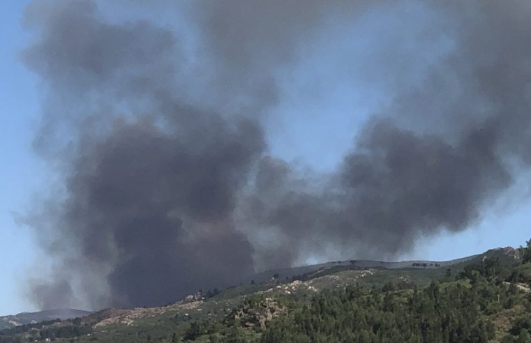 Incêndio na Serra da Estrela mobiliza 126 bombeiros e oito meios aéreos