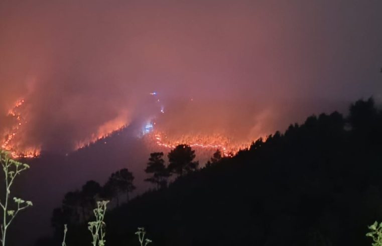 Incêndio de Seia continua ativo e com muitos meios no terreno