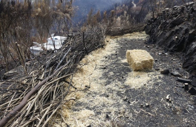 Seia executa obras de estabilização nas zonas afetadas pelo incêndio do Piódão