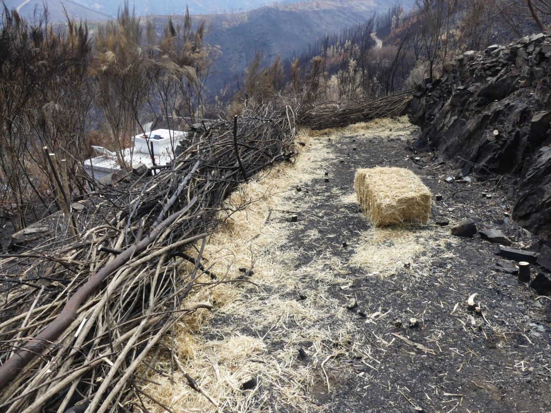 Seia executa obras de estabilização nas zonas afetadas pelo incêndio do Piódão