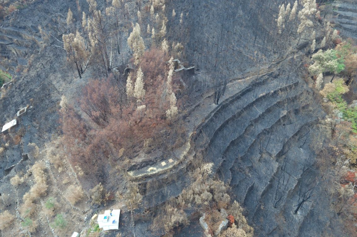 Seia recebe 418 mil euros para recuperar áreas afetadas pelos incêndios rurais