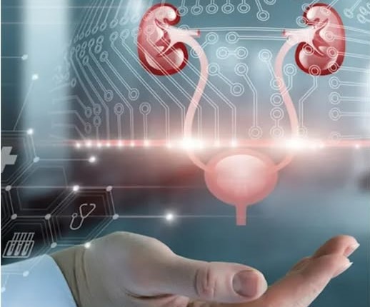 Seia recebe III Jornadas de Urologia da Beira Interior