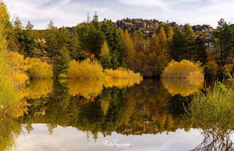 Movimento Estrela Viva e ICNF promovem caminhada ambiental no Vale do Rossim