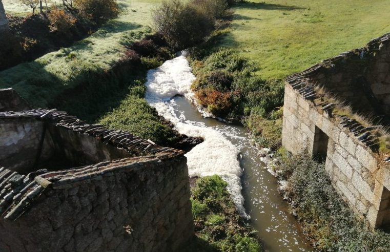 Junta de Meruge acusa queijarias de poluição “criminosa” no Rio Cobral
