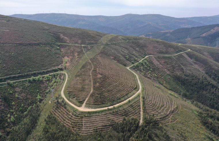 Projeto Floresta da Serra do Açor vence Prémio Nacional da Paisagem
