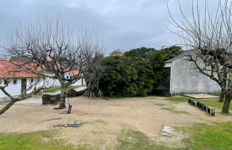 Oliveira do Hospital avança com obra na Escola de Travanca de Lagos após danos da tempestade