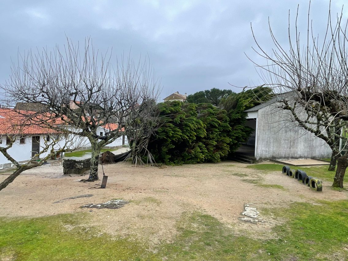 Oliveira do Hospital avança com obra na Escola de Travanca de Lagos após danos da tempestade