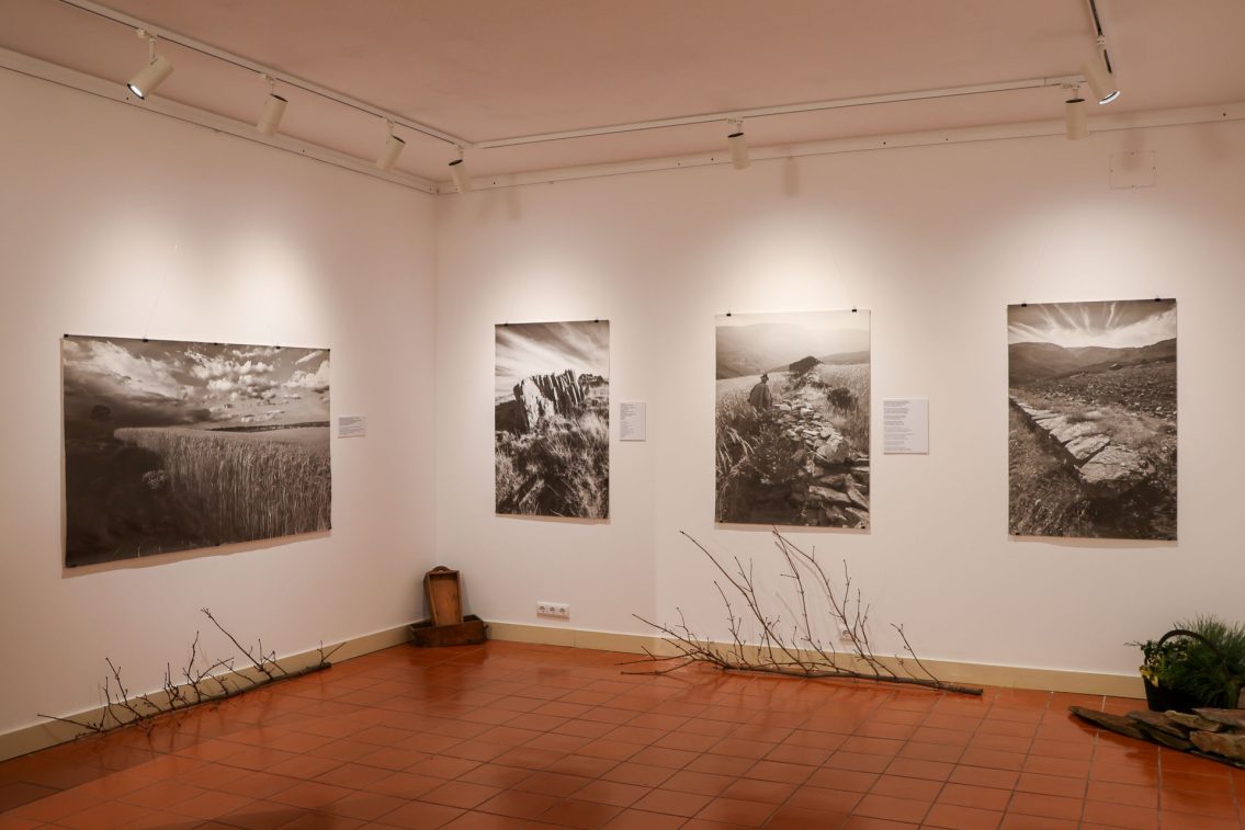 Exposição “Rente à Terra” patente no Museu Municipal Abel Manta