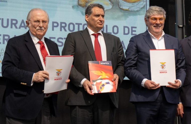 Benfica avança com plantação de 50 mil árvores em Oliveira do Hospital