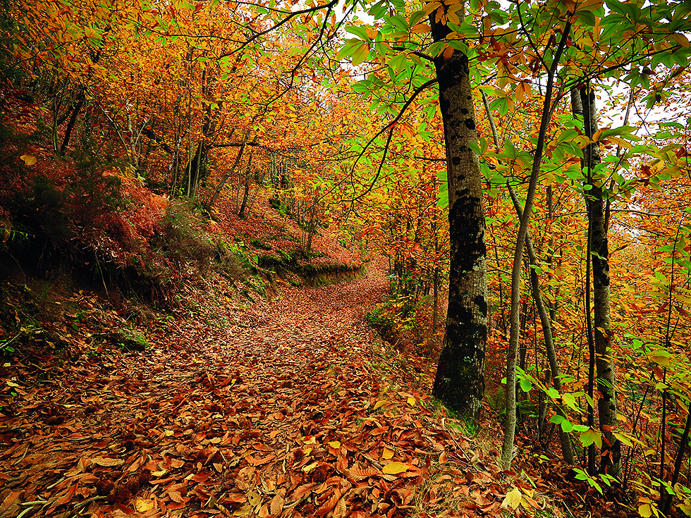 Academia Aldeias de Montanha cria Escola de Agroecologia na Lapa dos Dinheiros