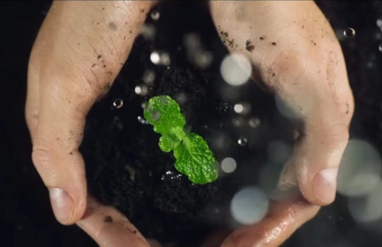 Centro de Portugal distinguido com dois prémios em festival no Japão