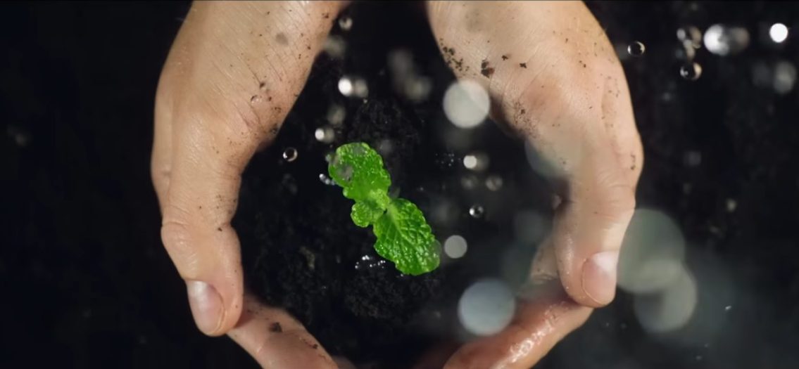 Centro de Portugal distinguido com dois prémios em festival no Japão