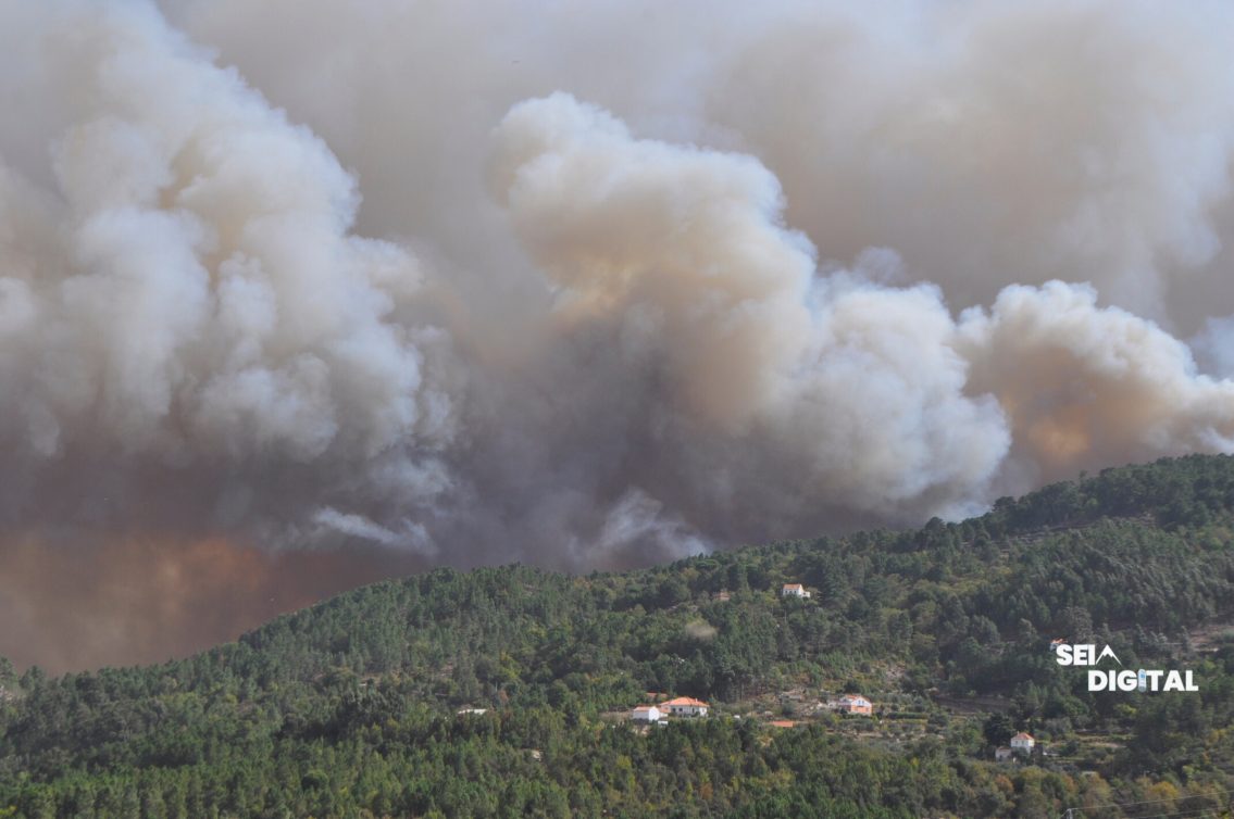 Seia recebe seminário nacional sobre incêndios rurais