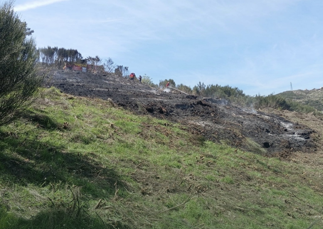 Dois detidos por incêndio rural no concelho de Seia