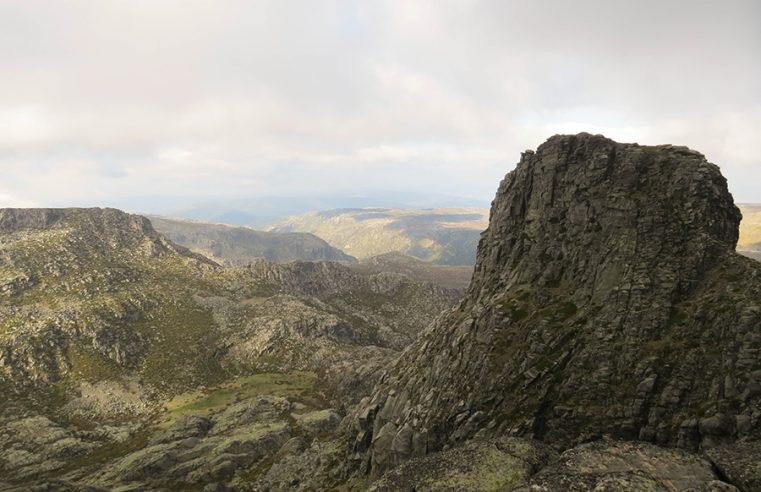 Seia recebe primeira oficina do projeto SerE+ para valorizar ecossistema da Serra da Estrela