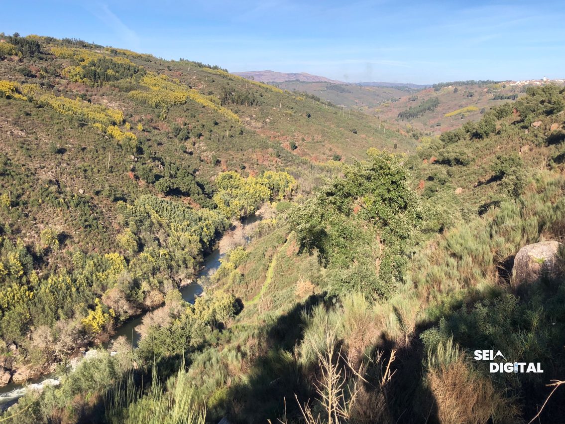 Petição contra barragem de Girabolhos mobiliza associações e cidadãos