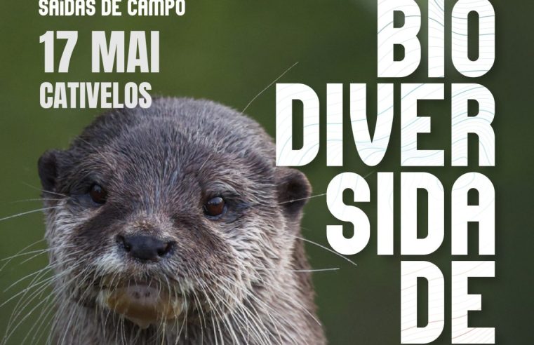 Cativelos recebe saída de campo dedicada à biodiversidade do Rio Mondego