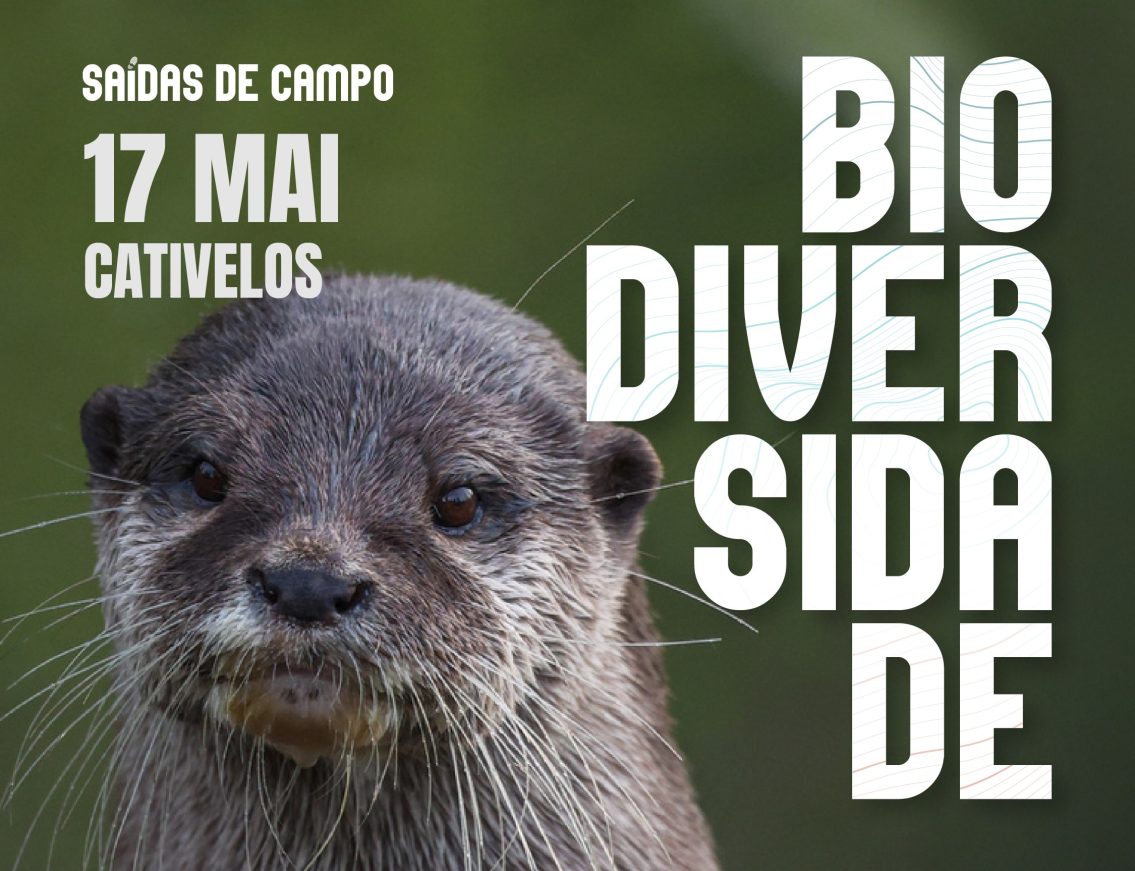 Cativelos recebe saída de campo dedicada à biodiversidade do Rio Mondego