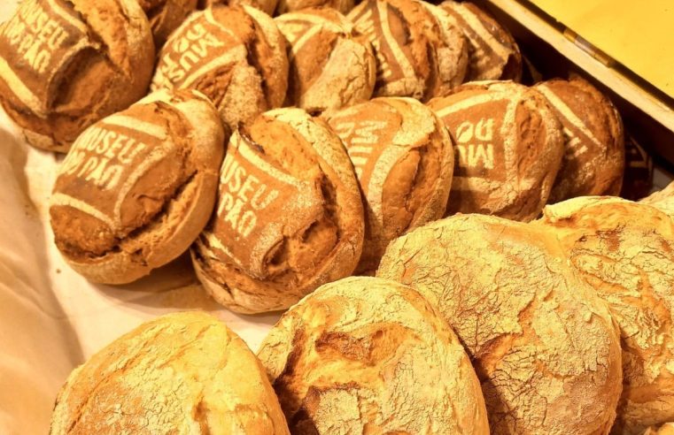 Museu do Pão volta a procurar “O Melhor Pão de Portugal”