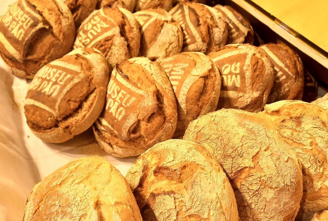 Museu do Pão volta a procurar “O Melhor Pão de Portugal”