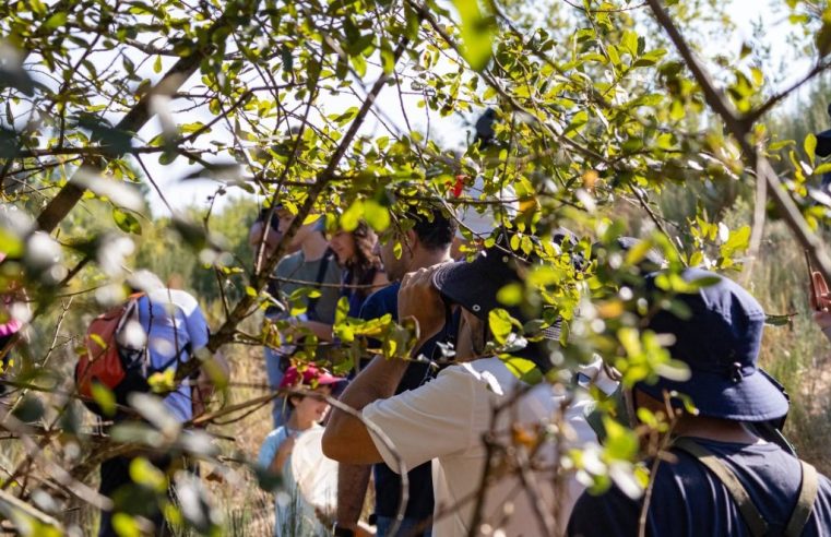 Saída de campo em Lagarinhos dá a conhecer biodiversidade das paisagens vínicas do Dão