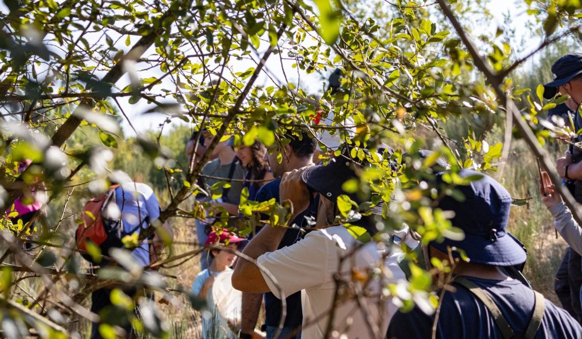 Saída de campo em Lagarinhos dá a conhecer biodiversidade das paisagens vínicas do Dão
