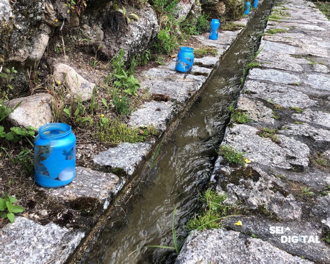Alvoco da Serra recupera os antigos “giros de água” na Festa do Solstício e Caminhada do Lampião