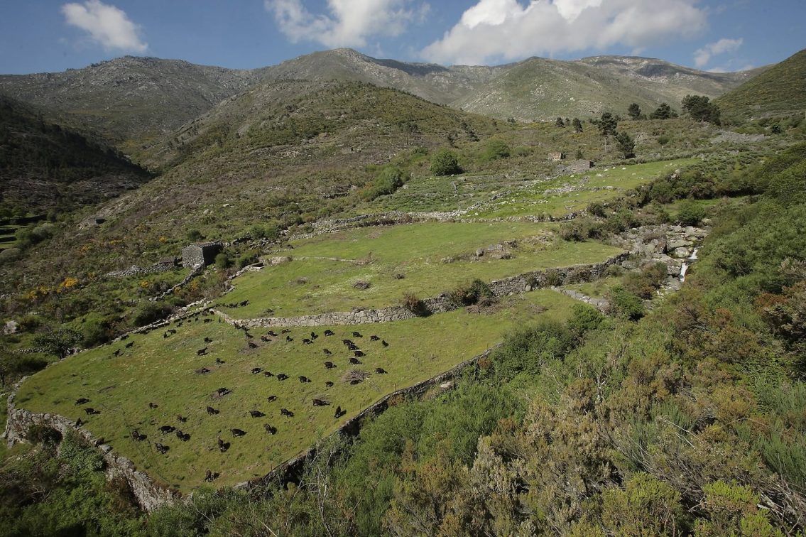 Serra da Estrela reconhecida como Reserva da Biosfera da UNESCO