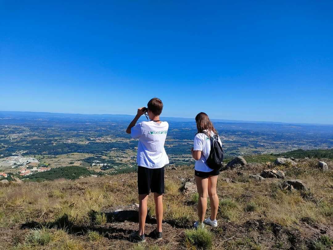 Seia desafia jovens a participar em programa de voluntariado para a proteção da natureza e das florestas