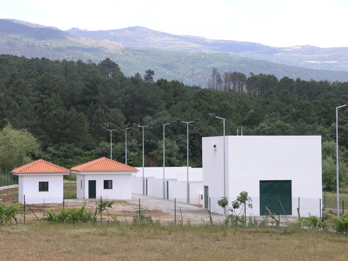 Sem enfermeiro veterinário, Câmara de Seia recorre a clínicas privadas para esterilizar animais