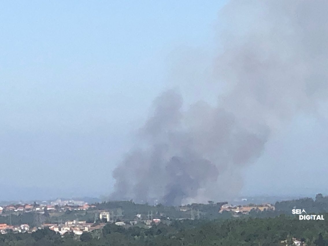 ÚLTIMA HORA | Incêndio em mato mobiliza forte dispositivo em Paranhos da Beira