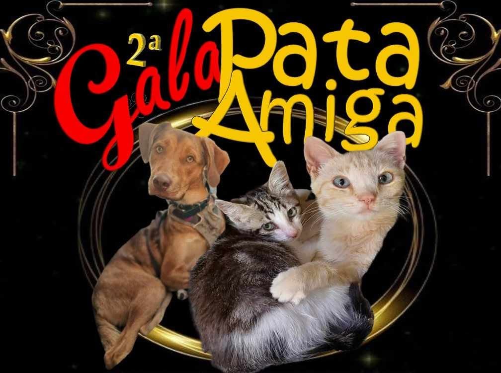 Gouveia acolhe II Gala Pata Amiga para apoiar associação de proteção animal