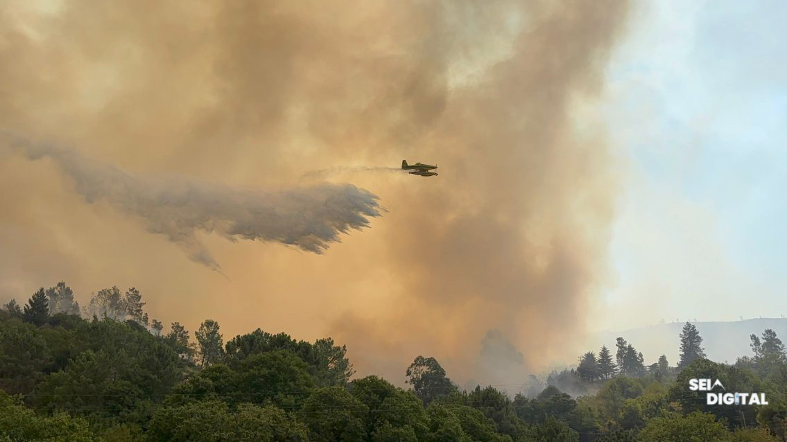 Comissão Independente conclui que resposta aos incêndios de 2025 foi insuficiente