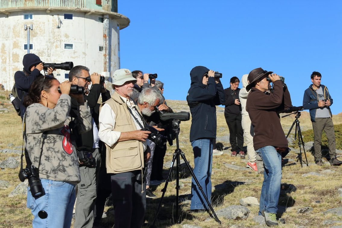 CISE e CERVAS promovem saída de campo para observar aves na Serra da Estrela