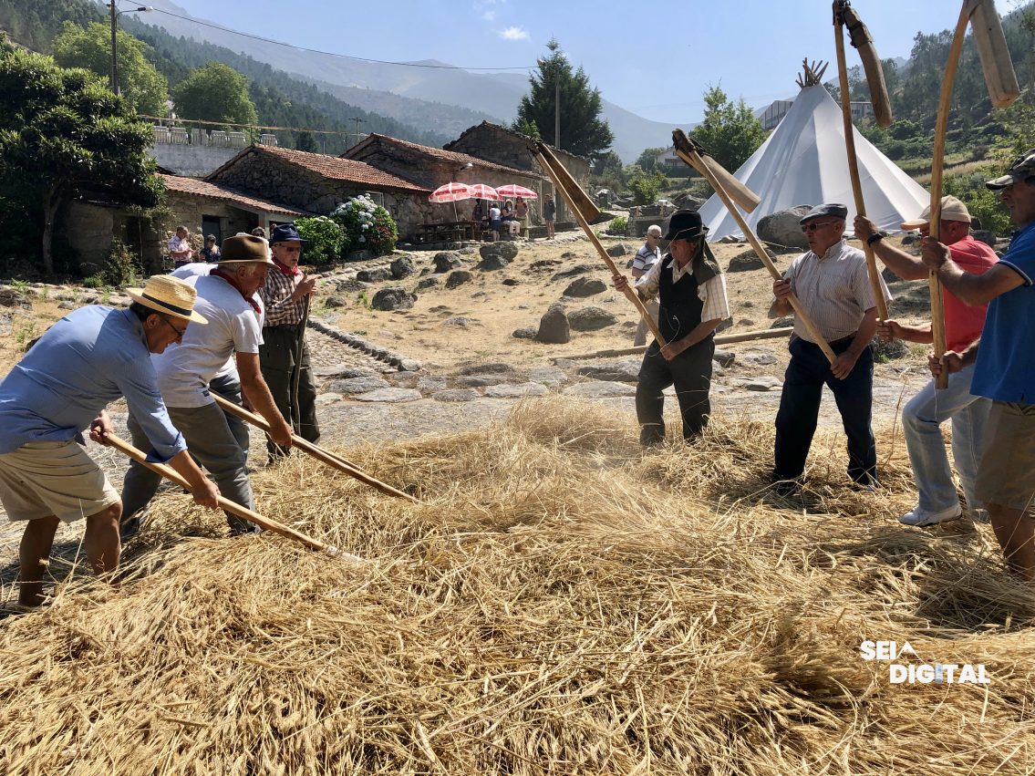 Rede de Aldeias de Montanha é finalista dos Prémios Europeus