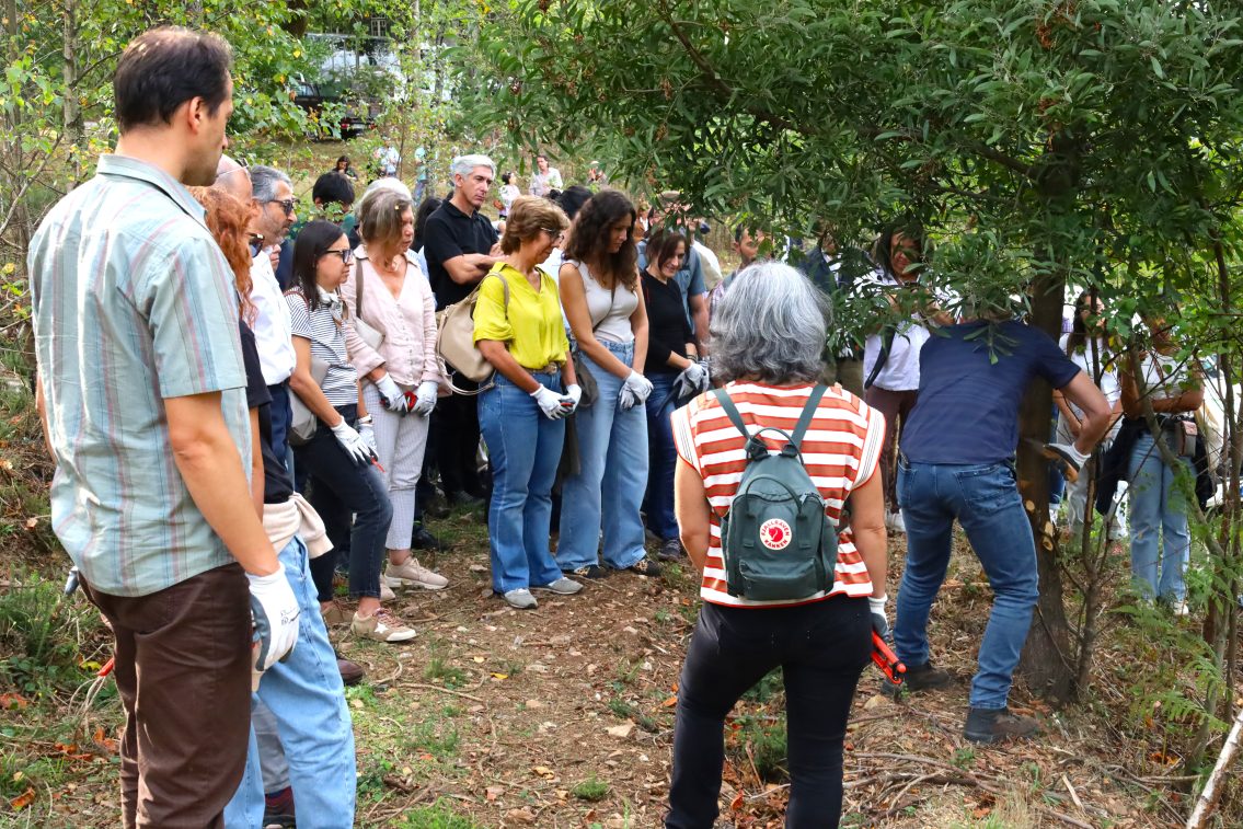 Conferência Nacional da Paisagem levou mais de 100 participantes à Floresta da Serra do Açor