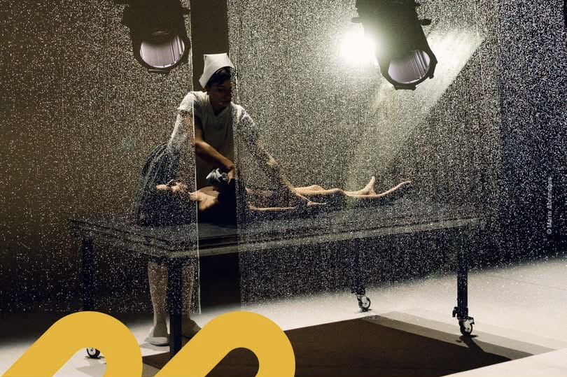 Diana Niepce leva “Enfreakment” à Casa Municipal da Cultura de Seia esta noite